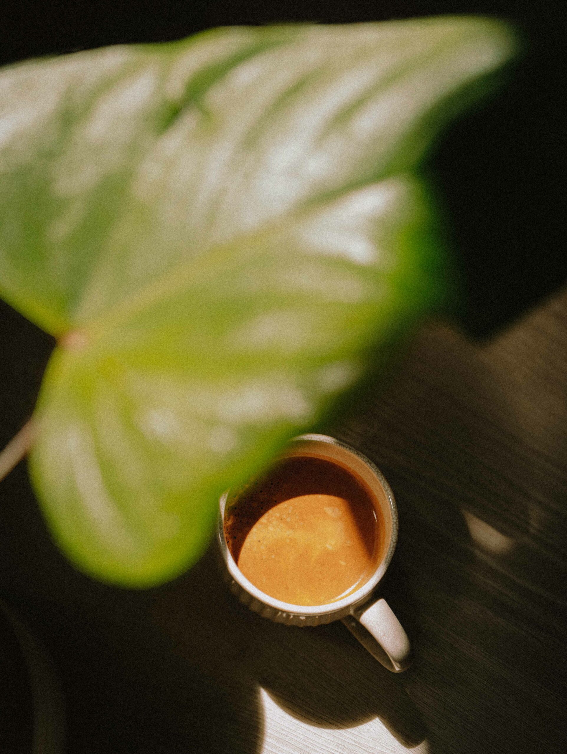 agitalizr services imae